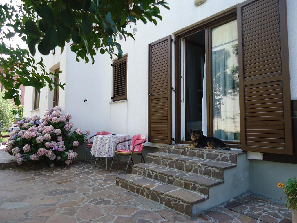 Apartments Mirela Novigrad Istria Kültér fotó